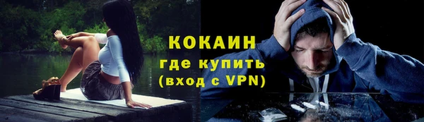 прущие грибы Армянск